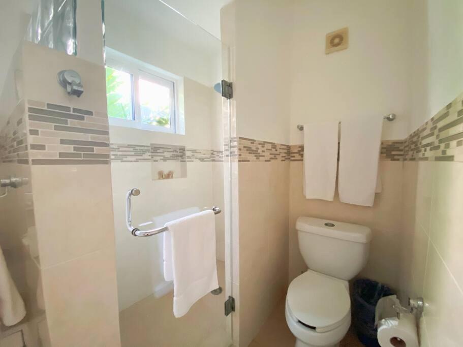 הוילה פלאייה דל כרמן Casa Paamul מראה חיצוני תמונה